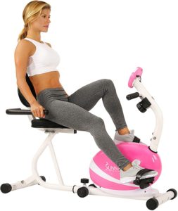 Sunny Health & Fitness Magnetic Recumbent Bike Exercise Bike